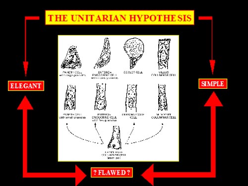 unitarian hypothesis